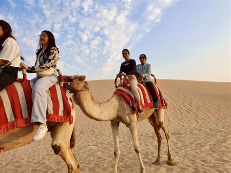  Xandra's Unexpected Camel Ride: A Desert Adventure Gone Viral!